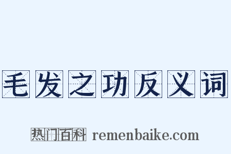 毛发之功反义词是什么意思的图片